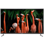 تلویزیون بیسیک مدل ZL-50BF544 زلموند | آژند سرویس