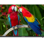 تلویزیون اسمارت مدل ZL-43SF547 زلموند | آژند سرویس