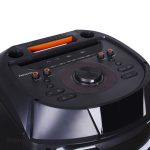 اسپیکر PANA-Z2212G زلموند | آژند سرویس - Image 14