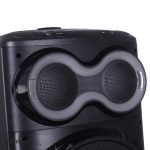 اسپیکر PANA-Z2210 زلموند | آژند سرویس - Image 12